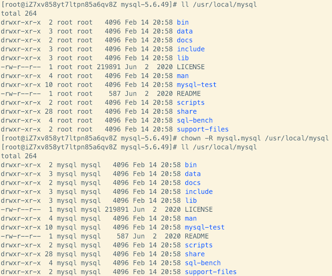image-20250214213331153
